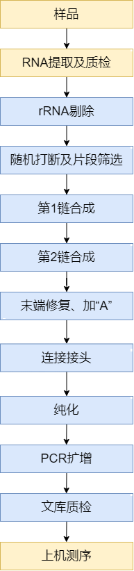 lncRNA實驗流程圖.png