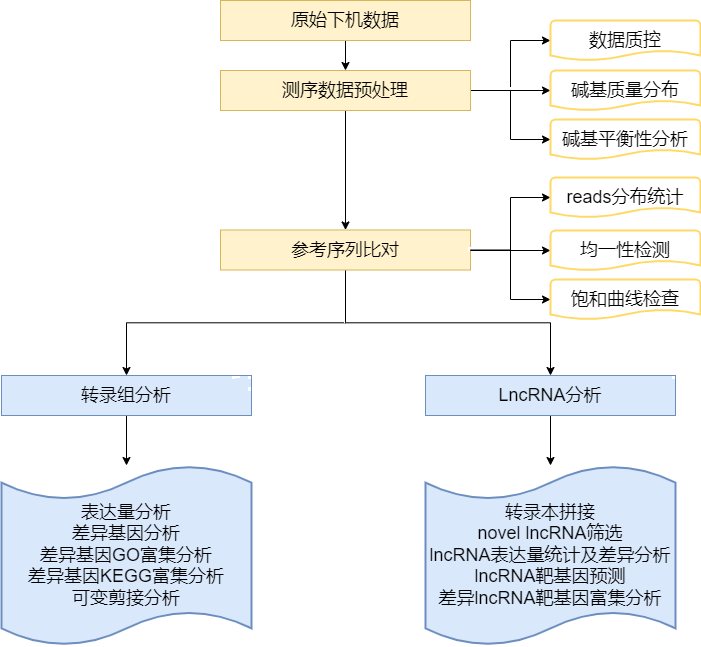 lncRNA分析流程.png