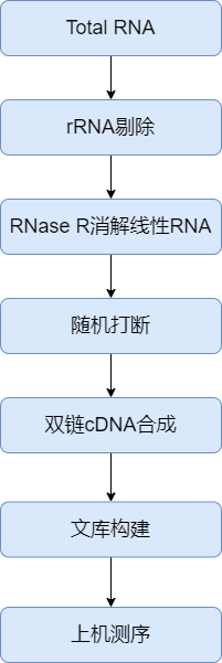 circRNA實(shí)驗(yàn)流程.png