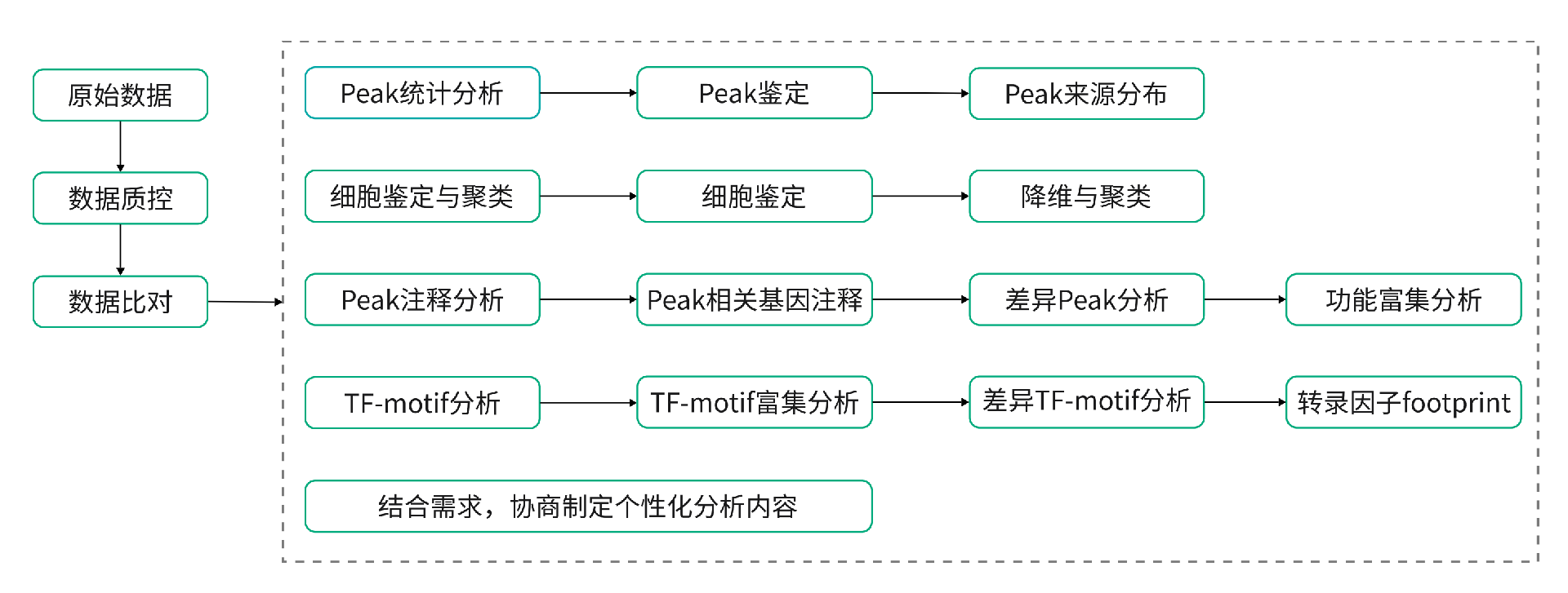 單細(xì)胞ATAC分析流程_00.png